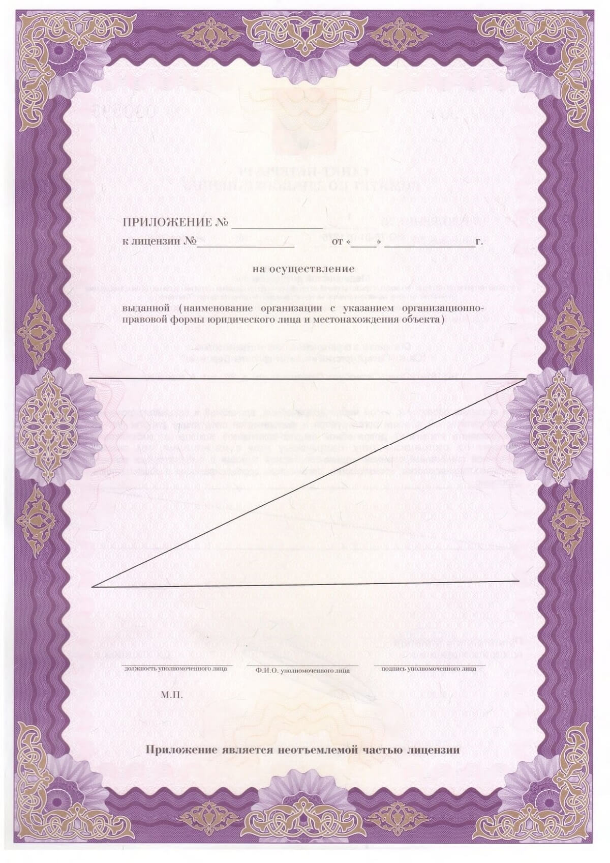 Лицензия СПИК-Вероника 10